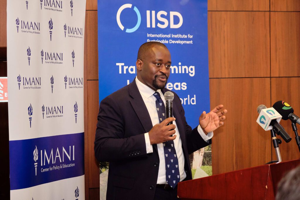 Economist and Political Risk Analyst, Dr. Theo Acheampong