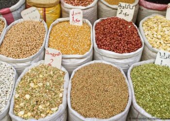 Cabinet Approves Fund for NAFCO to Purchase Excess Grain Supply.