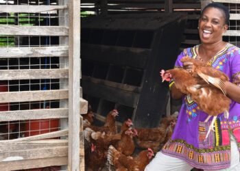 "Nkuko Nkitinkiti" initiative to begin rollout in November.