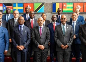 Regional DFIs Unite Under AfDB Initiative to Maximize Investment Impact Across Africa