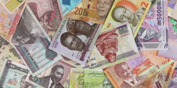 Ghana’s Cedi Emerges as the Calm in Africa’s Chaotic Currency Storm