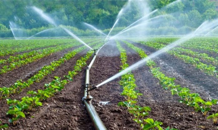 Feed Ghana Program to Support AETA, Ghanaians, and Industries 5 Capture 2 696x416 1