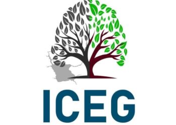 Institute of Climate and Environmental Governance