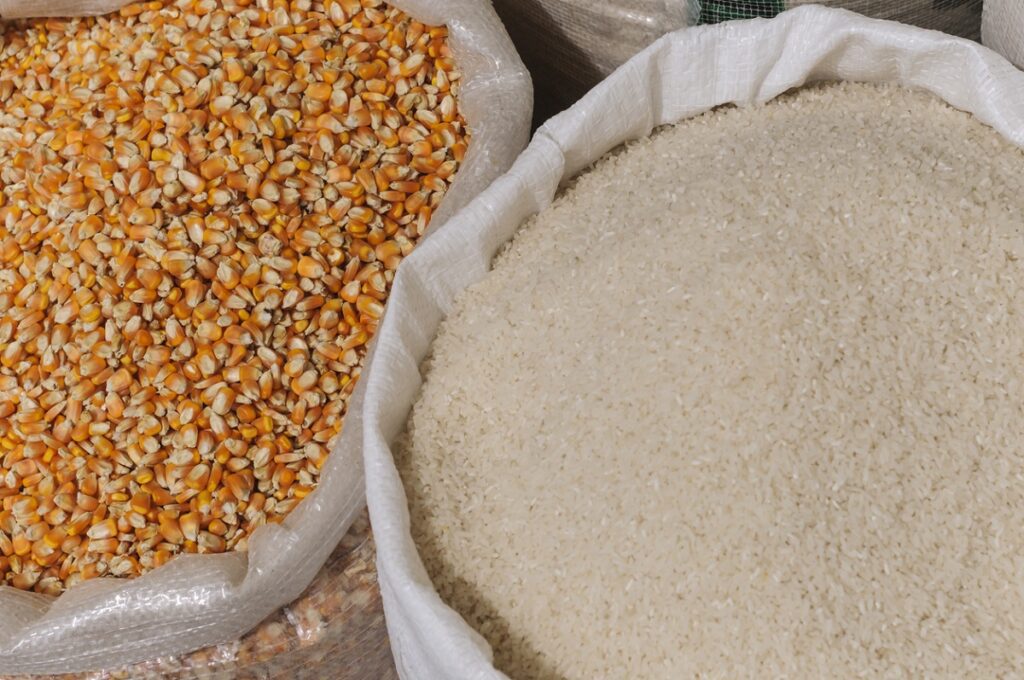 Rice and Maize