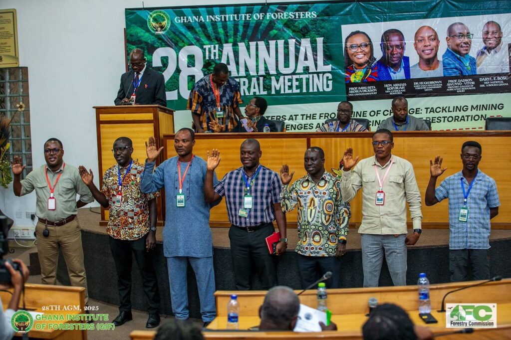 GIF Calls for Stronger Action Against Illegal Mining
