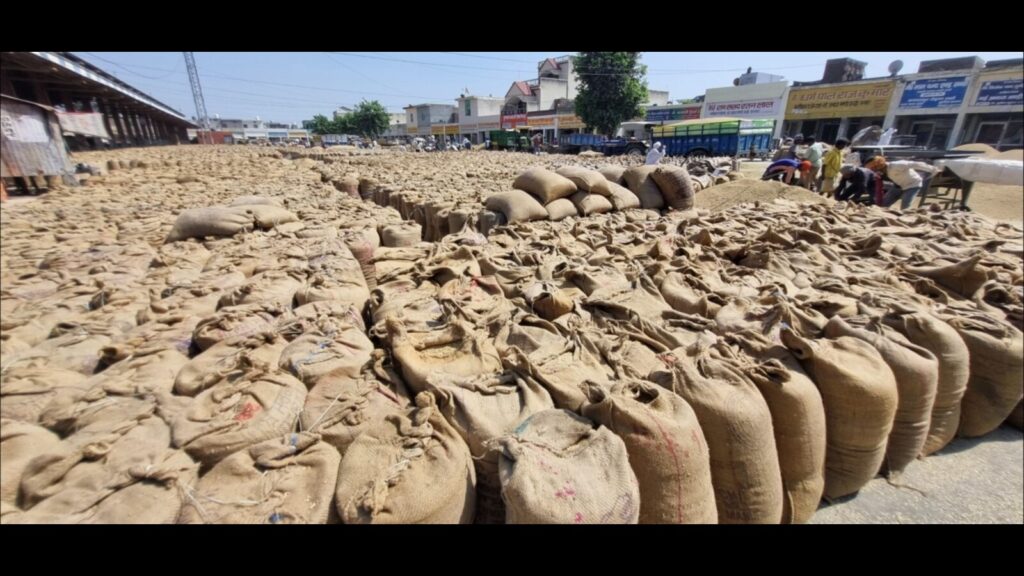 e1da451e 441b 11ed 93d4 1233adb273d2 1664912282817