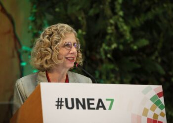 Inger Andersen, Under-Secretary-General of the United Nations