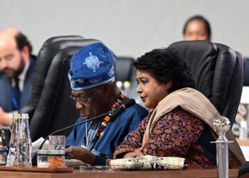 Former Nigerian President Olusegun Obasanjo at G20