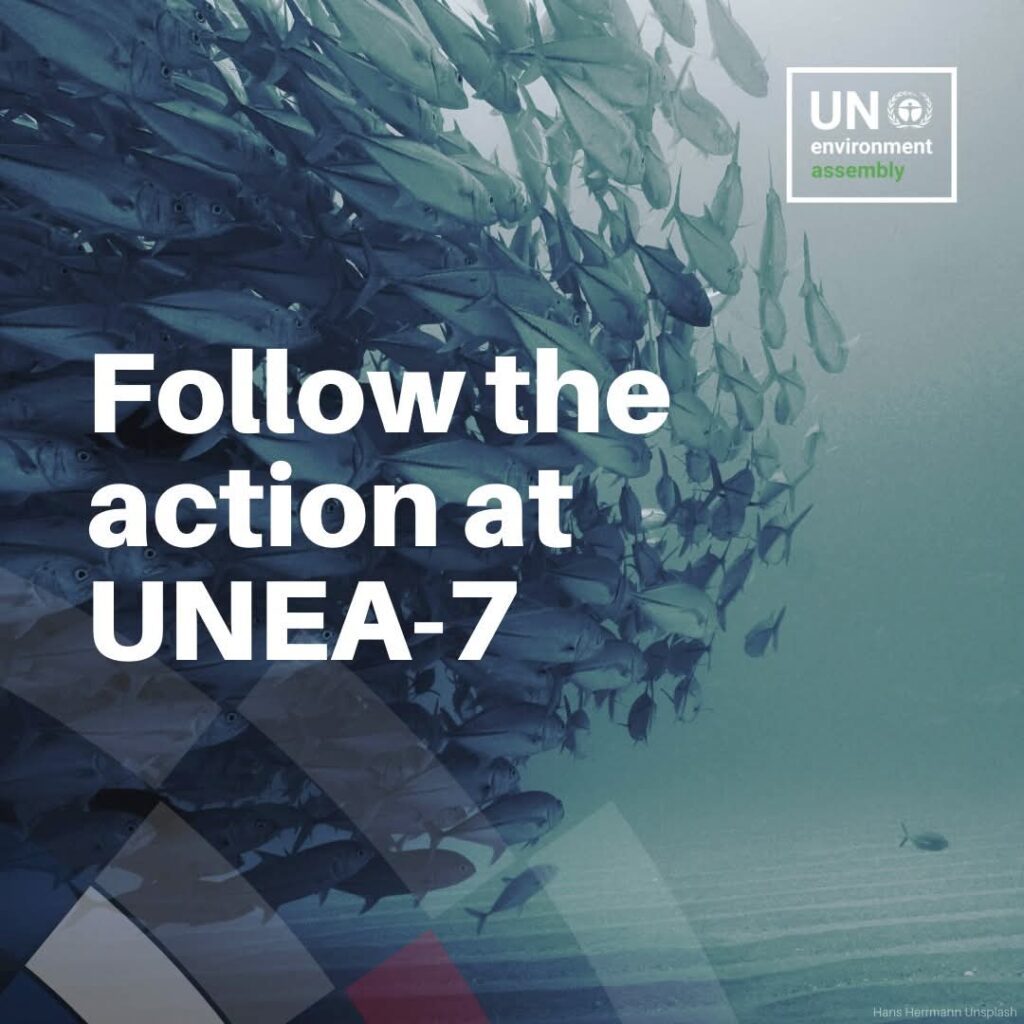 United Nations Environment Assembly (UNEA-7)