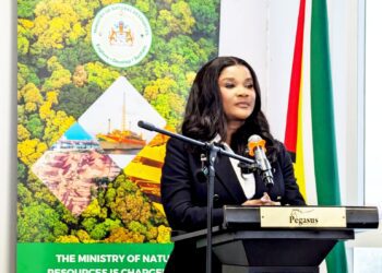 Cybele Energy and its CEO, Beatrice Mensah Tayui,