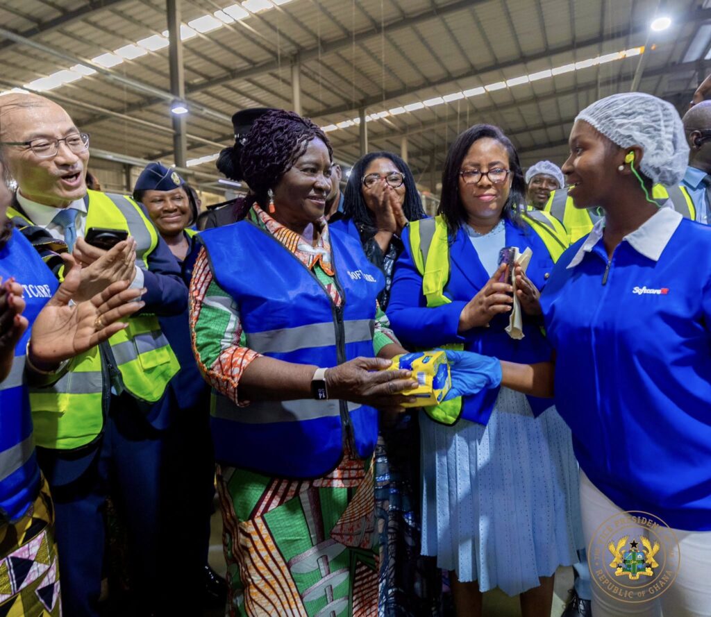 Veep @Software Plant 1