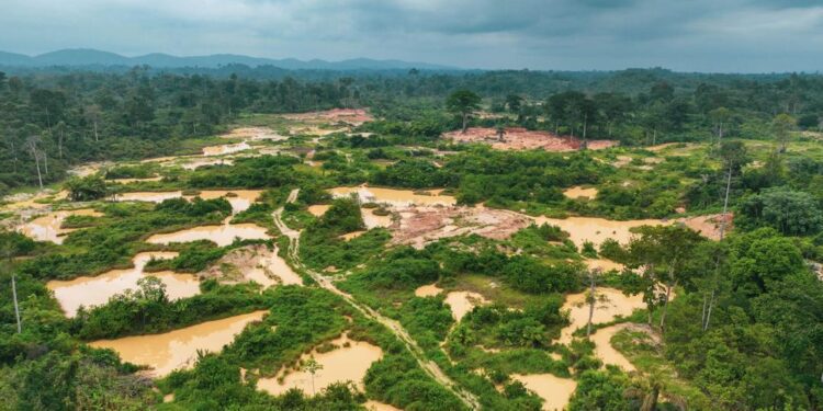 Galamsey Affected  Forest