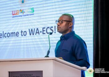 Hon. John Abdulai Jinapor, Minister for Energy and Green Transition