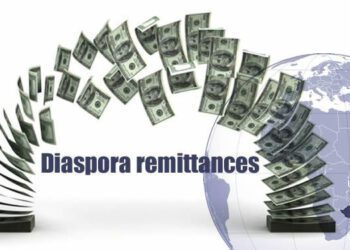 Diaspora remittances to boost national investment