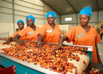 Central Oil Mills Limited in Jukwa Mfuom