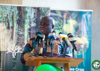 Hon. Eric Opoku, Minister for Food and Agriculture
