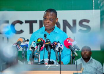 Fifi Fiavi Kwetey, NDC General Secretary