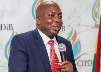 Dr. Elikplim Kwabla Apetorgbor, CEO of Independent Power Generators Ghana