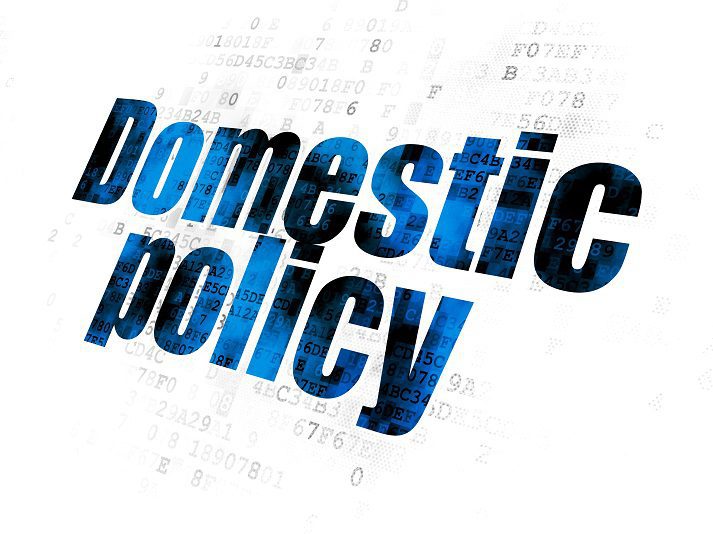 domestic policy 11442 full
