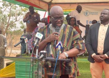 Hon. Eric Opoku, Minister for Food and Agriculture