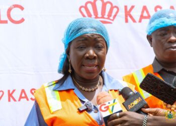 Hon. Elizabeth Ofosu-Adjare, Minister for Trade, Agribusiness and Industry