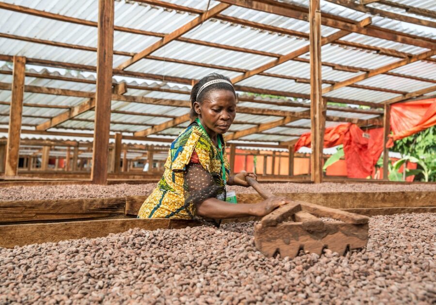 Cocoa farmers 2