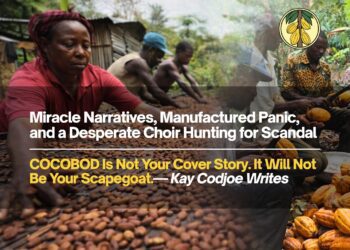 Kay Codjoe Miracle Narrative