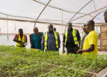Hon. Eric Opoku, Minister for Food and Agriculture at the Maphlix Facility