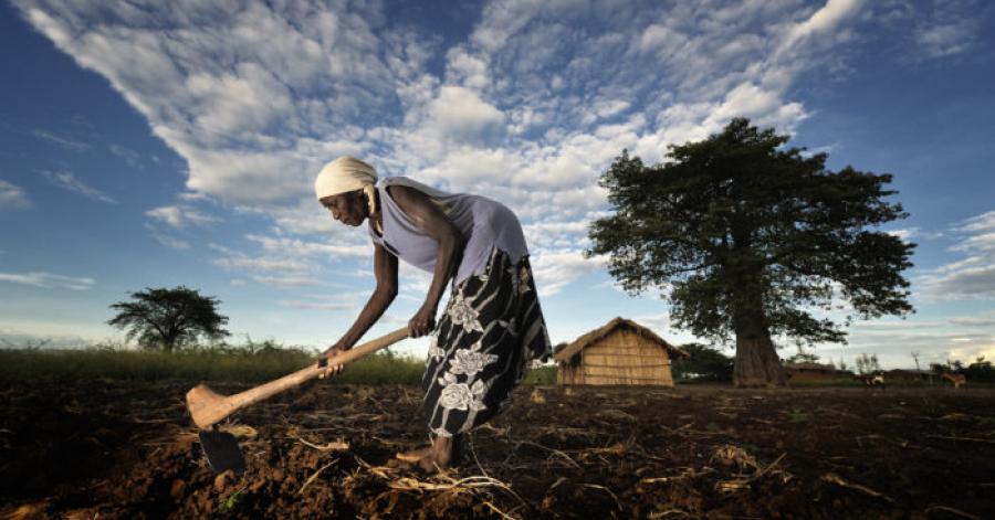 Agriculture