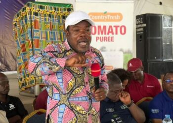 Feed Ghana Launches National Vegetable Development Project 1 Feed Ghana Launches National Vegetable Development Project 1