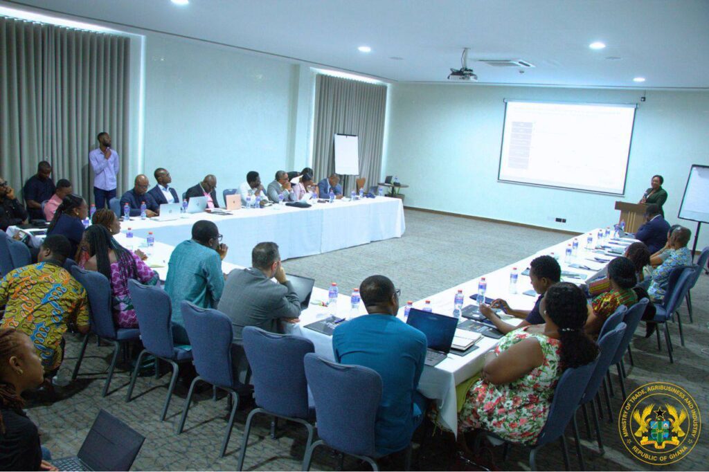 Ghanas Pivot To Digital Trade Enters Execution Phase 2