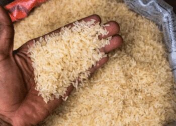 Local Rice