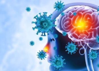 Brain Viral Infection Meningitis