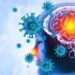 Brain Viral Infection Meningitis