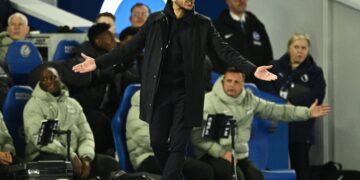 Liam Rosenior in his technical area at Stamford Bridge