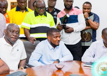 Minerals Commission CEO