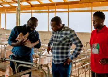 Dr. Peter Boamah Otokunor, Director of the Presidential Initiative on Agriculture and Agribusiness, at Bouna Farms