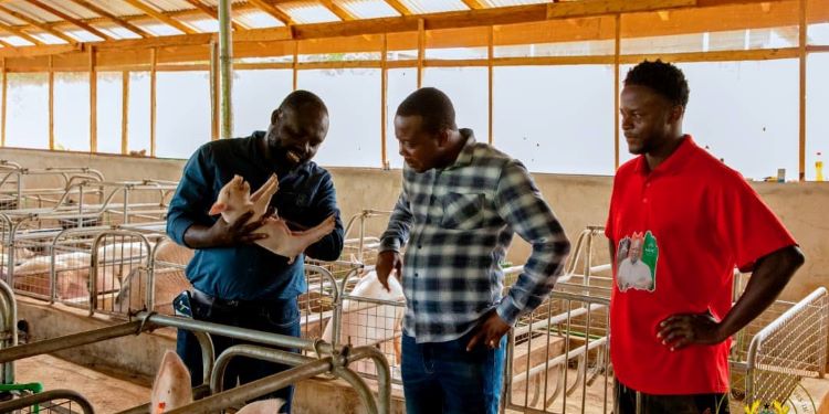Dr. Peter Boamah Otokunor, Director of the Presidential Initiative on Agriculture and Agribusiness, at Bouna Farms
