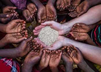 Global Food Security