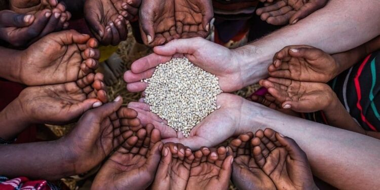 Global Food Security