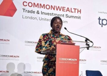 Hon. Elizabeth Ofosu-Adjare, Minister for Trade, Agribusiness, and Industry at the CWEIC Business Forum