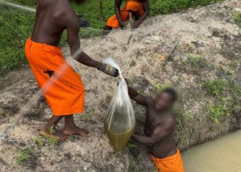 Inmates undergoing aquaculture farming