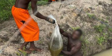 Inmates undergoing aquaculture farming