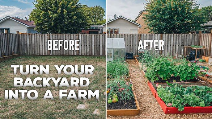 Backyard Farming