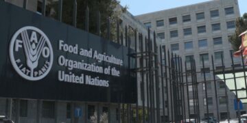 Food and Agriculture Organization of the United Nations (FAO)