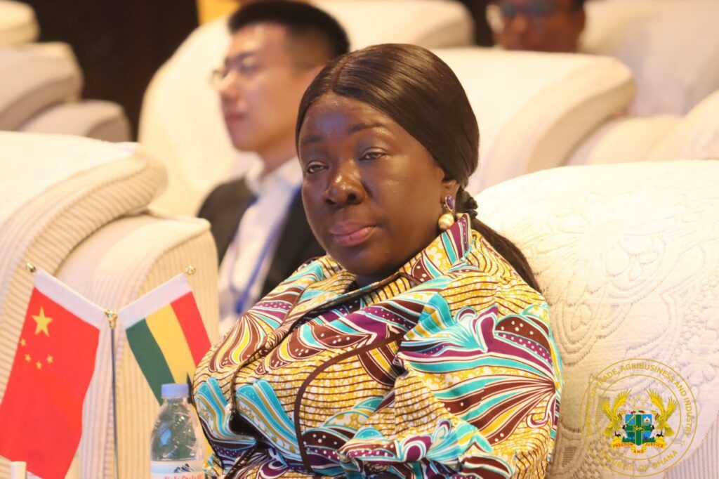 Hon. Elizabeth Ofosu Adjare Minister for Trade Agribusiness and Industry 2