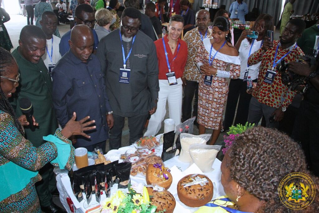 Hon. Sampson Ahi Deputy Minister for Trade Agribusiness and Industry at the Regional Cashew Apple Valorization Conference and Exhibition 3