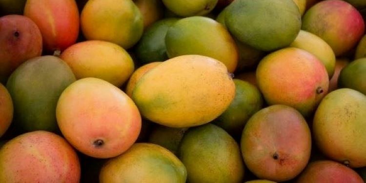 Mangoes