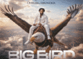 Lyrical Joe's "Big Bird" Song