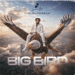 Lyrical Joe's "Big Bird" Song